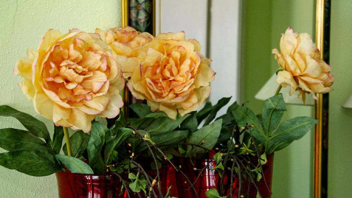 05 irlparkandfly gastlichkeit